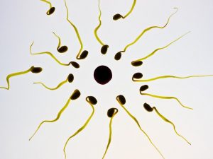 The Latest Advancements in Fertility Treatments
